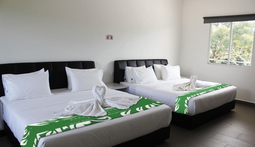 Chambre Quadruple Familiale, vue colline