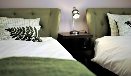 Chambre avec lits jumeaux (101)