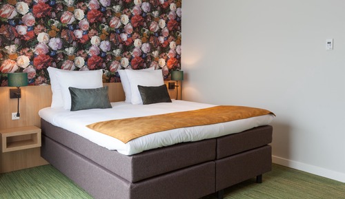 Chambre Supérieure, 1 lit double, non-fumeurs