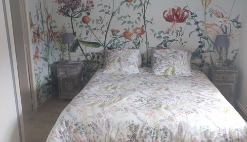 Chambre Double Classique, 1 chambre (Rose)