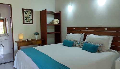 Chambre Standard, 1 grand lit, non-fumeurs