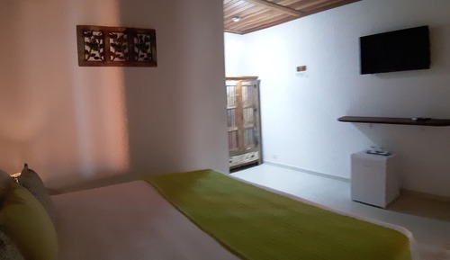 Chambre Deluxe, 1 très grand lit, non-fumeurs, vue jardin