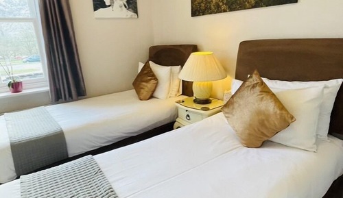 Chambre Deluxe avec lits jumeaux, 2 lits une place, non-fumeurs, vue montagne