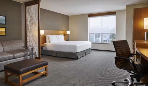 Chambre, 1 très grand lit et 1 canapé-lit, vue fleuve