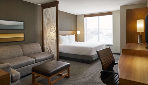 Chambre, 1 très grand lit et 1 canapé-lit, accessible aux personnes à mobilité réduite (Shower)