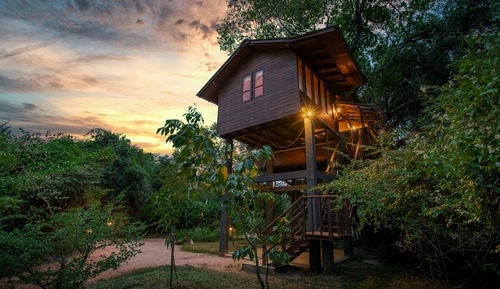 Tree House Deluxe, 1 grand lit, non-fumeurs, vue montagne