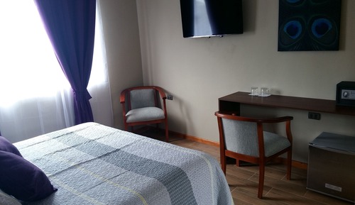 Suite Studio Junior, 1 très grand lit