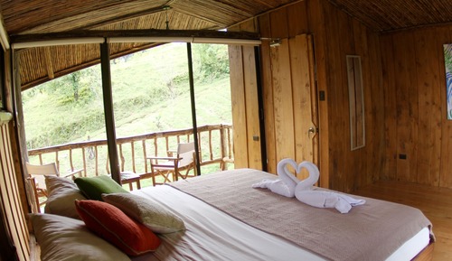 Chambre Standard Double ou avec lits jumeaux, 1 chambre, accès piscine, vue jardin