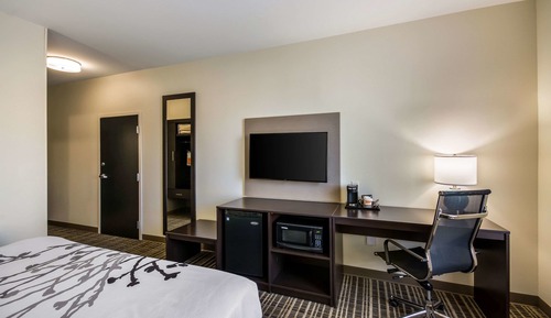 Chambre Standard, 1 très grand lit, non-fumeurs