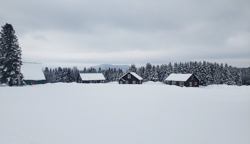 Cabane Standard, plusieurs lits, vue vallée