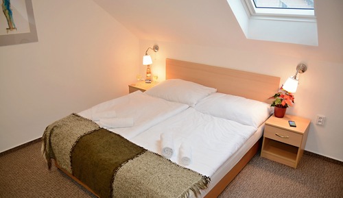 Chambre Double ou avec lits jumeaux (14)