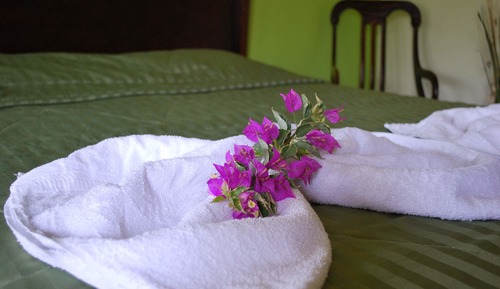 Chambre Familiale, vue jardin