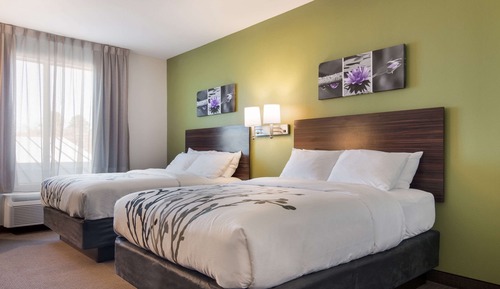 Chambre Standard, 2 grands lits, non-fumeurs
