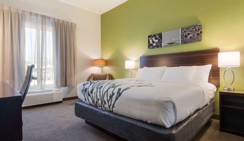 Chambre, 1 très grand lit, accessible aux personnes à mobilité réduite, non-fumeurs