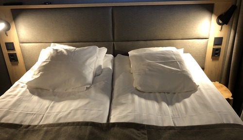 Chambre Double ou avec lits jumeaux