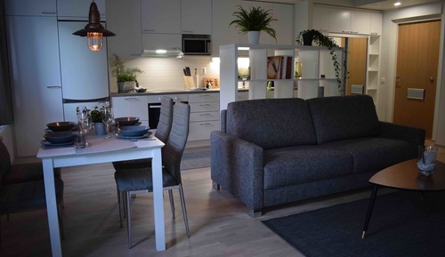 Appartement Luxe, sauna