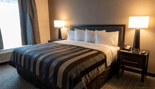 Chambre, 1 très grand lit, accessible aux personnes à mobilité réduite, non-fumeurs (Mobility)