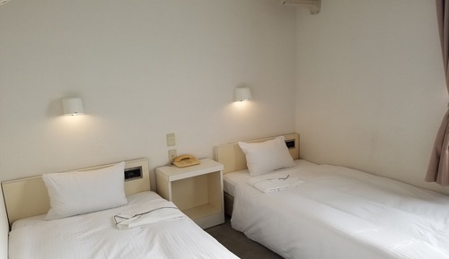 Chambre avec lits jumeaux, fumeurs