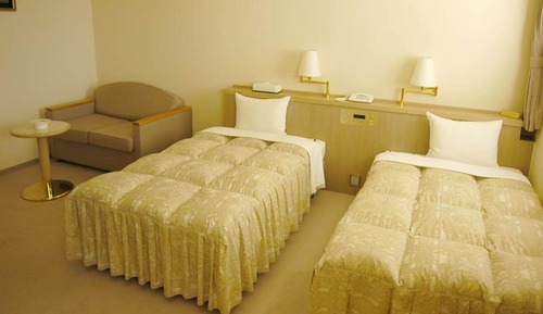 Chambre avec lits jumeaux, non-fumeurs