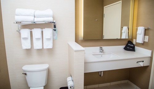 Suite, plusieurs lits (Hearing Accessible)