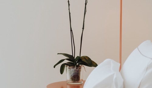 Chambre Double Supérieure (Spa Access)