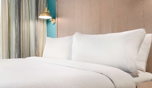 Suite, 1 très grand lit, accessible aux personnes à mobilité réduite, non-fumeurs (Roll-in Shower)