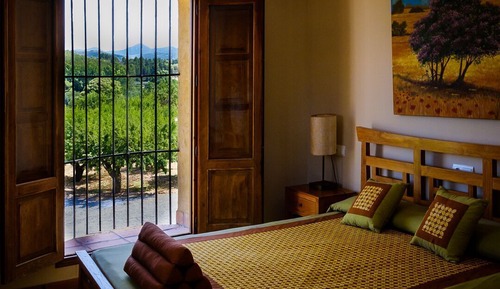 Chambre Double Standard, 1 grand lit, vue jardin, côté jardin