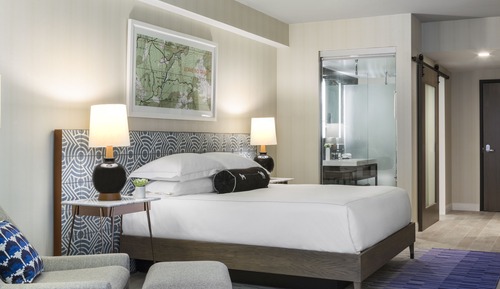 Chambre, 1 très grand lit, accessible aux personnes à mobilité réduite (Roll-In Shower)