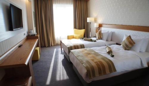 Chambre Standard Double ou avec lits jumeaux