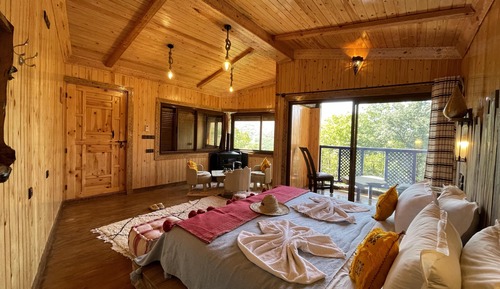 Chambre Majestueuse Double ou avec lits jumeaux, 1 chambre, cheminée, vue jardin
