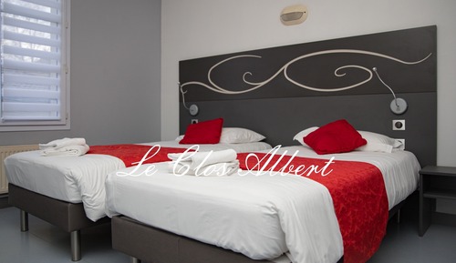 Chambre Confort avec lits jumeaux (11)