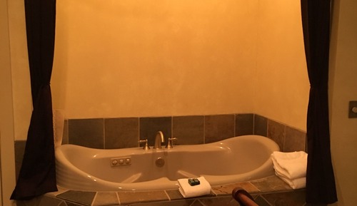 Suite, salle de bains privée (Pool House Suite 2)