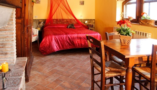 Studio Confort, cuisine, vue jardin