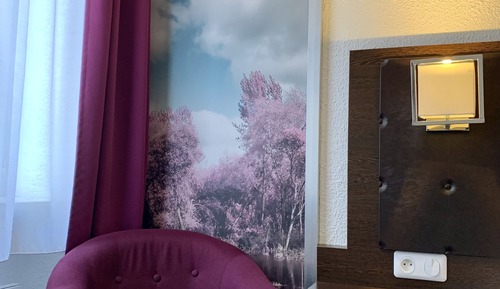 Chambre Confort avec lits jumeaux