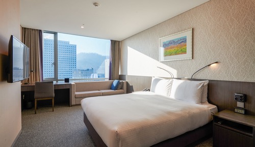 Chambre Double Standard (Bigger than most in Seoul)