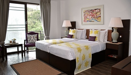 Chambre Deluxe avec lits jumeaux
