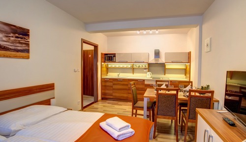 Appartement Duplex Familial, 2 chambres, cuisine, vue montagne