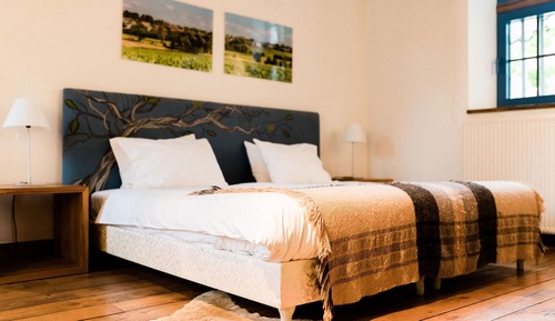 Chambre Deluxe Double ou avec lits jumeaux (La Chambre Bois)