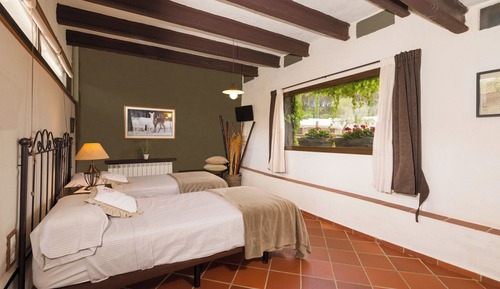 Chambre Standard avec lits jumeaux (Idomeneo)