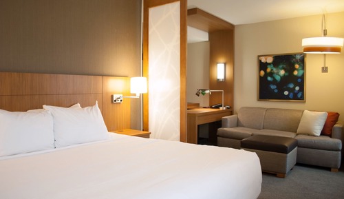 Chambre Simple, 1 très grand lit et 1 canapé-lit (High Floor)