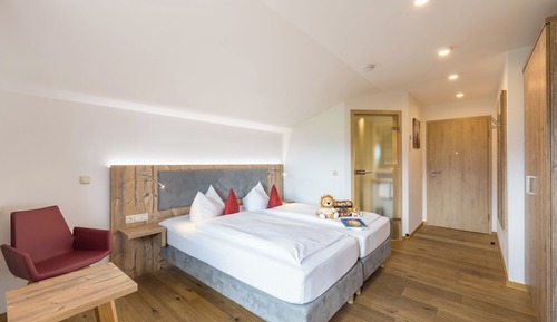 Chambre Double Standard, vue montagne