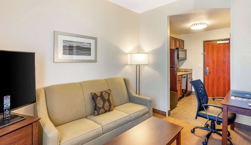 Suite, 1 grand lit et 1 canapé-lit, non-fumeurs (Efficiency, 2 Person Sofa bed)
