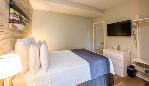 Chambre, 1 grand lit, vue canal (Lock # 6)
