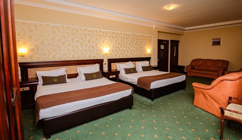 Studio Suite, Garden View