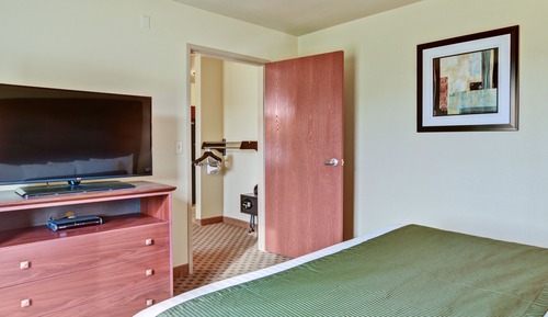 Suite Studio, plusieurs lits (Mobility/Audible, Roll-in Shower)