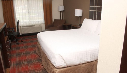 Chambre Standard, 1 très grand lit, accessible aux personnes à mobilité réduite (Communications)
