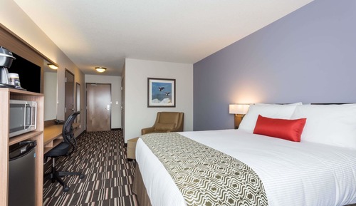 Chambre, 1 grand lit, accessible aux personnes à mobilité réduite, non-fumeurs