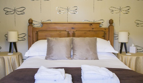Chambre Standard, 1 très grand lit