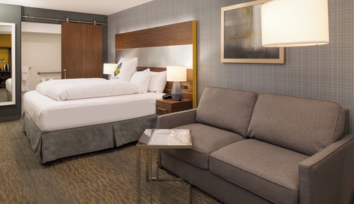 Suite, 1 très grand lit et 1 canapé-lit (Roll-In Shower)