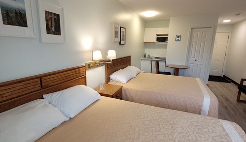Chambre Premium, 2 grands lits, coin cuisine, vue montagne